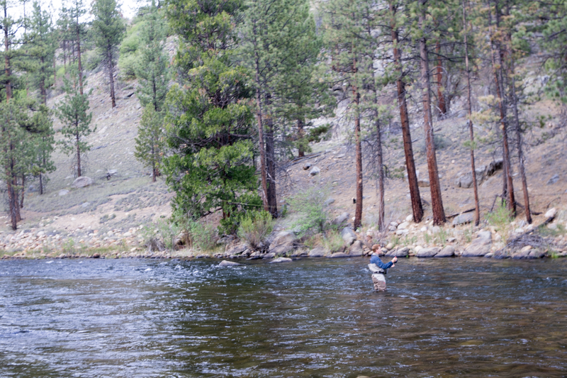 Illustration for article titled I learned to Fly Fish!